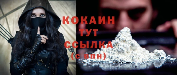 бошки Гусев