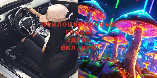 бошки Гусев