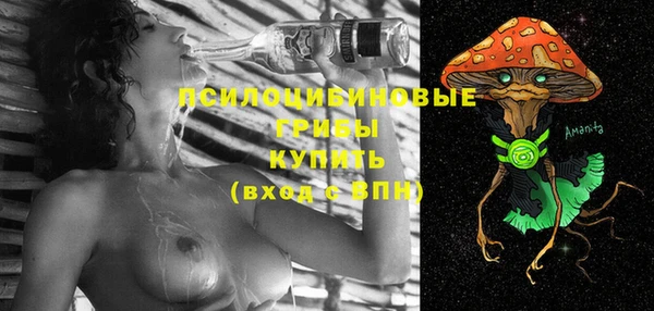 ECSTASY Снежинск