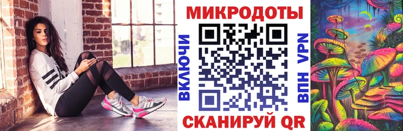 Псилоцибиновые грибы Psilocybine cubensis  Энгельс 