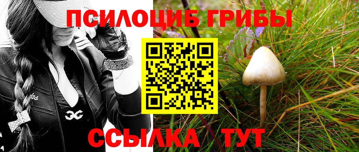 наркошоп  Псилоцибиновые грибы MAGIC MUSHROOMS  Вход с VPN  Энгельс 