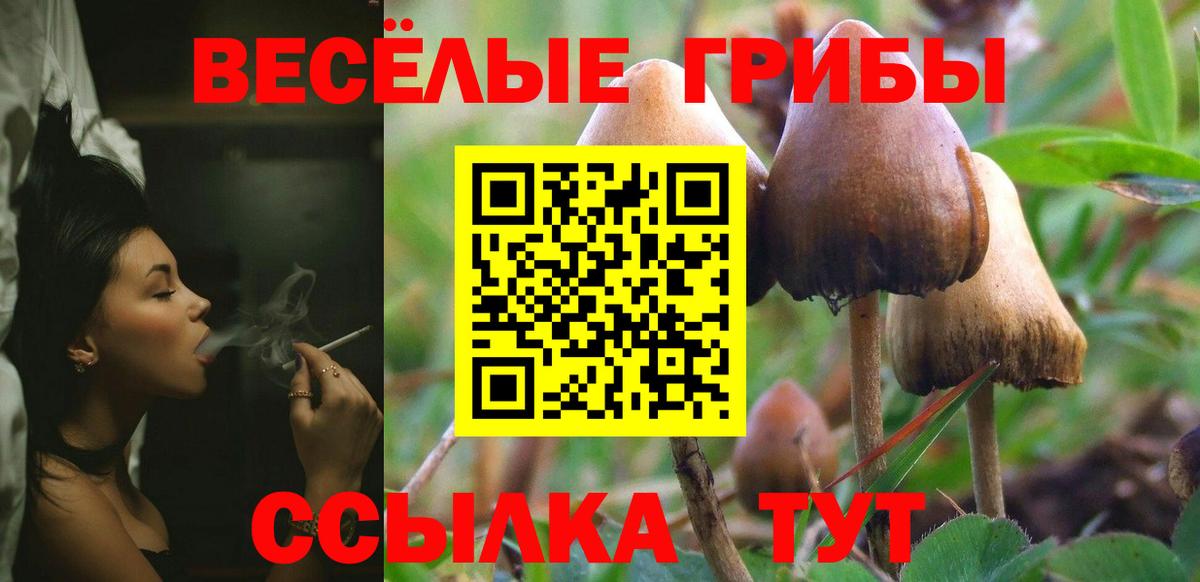 Галлюциногенные грибы мицелий Энгельс